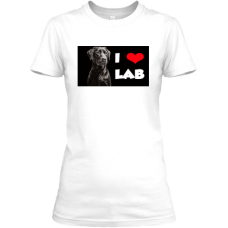 Labrador B&W